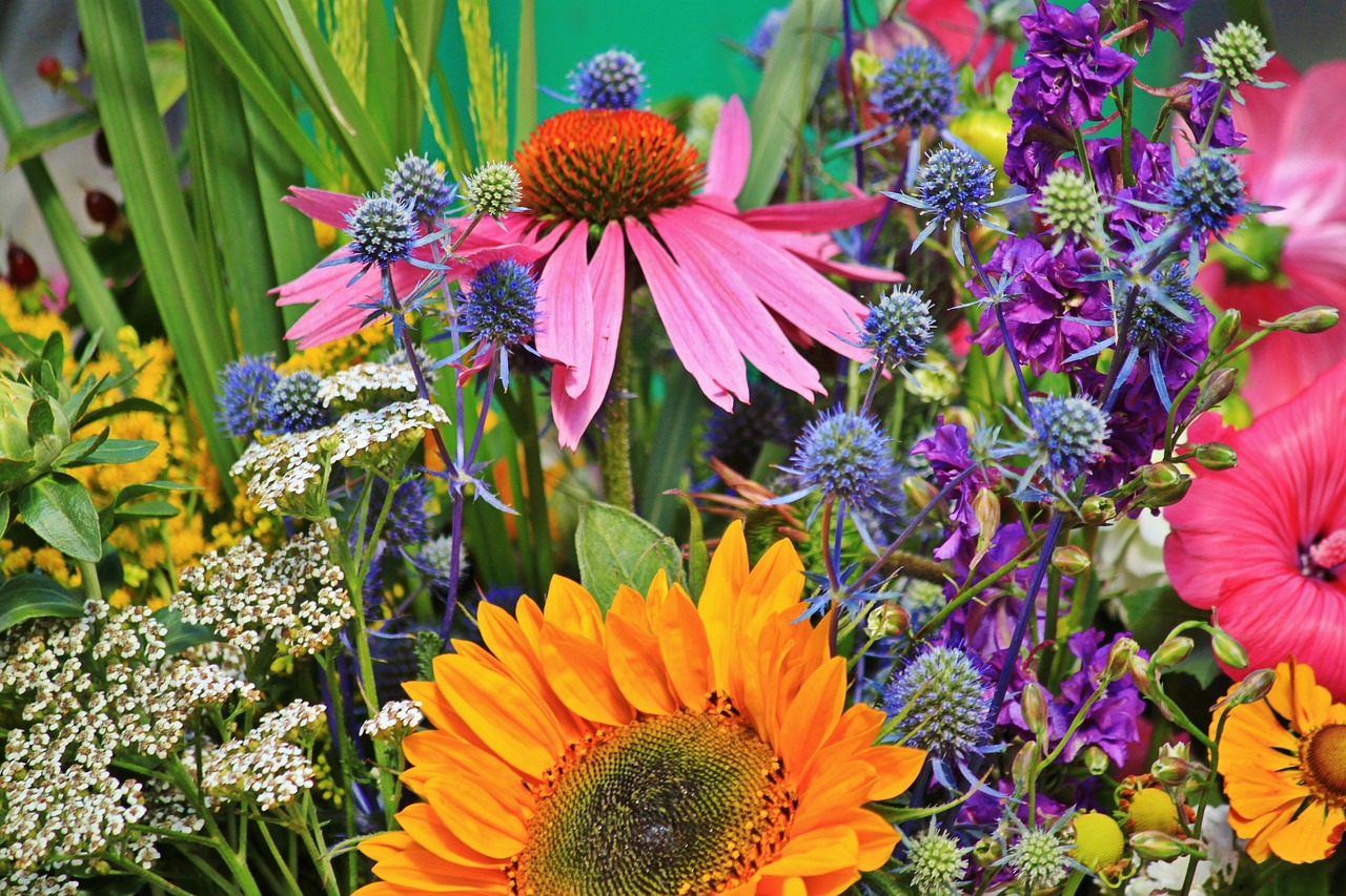 AI voor het herkennen van bloemen en planten